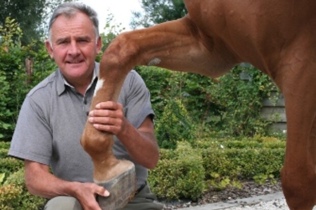 Paard & Koets, clinics Antoine de Bodt - zaterdag 17 november