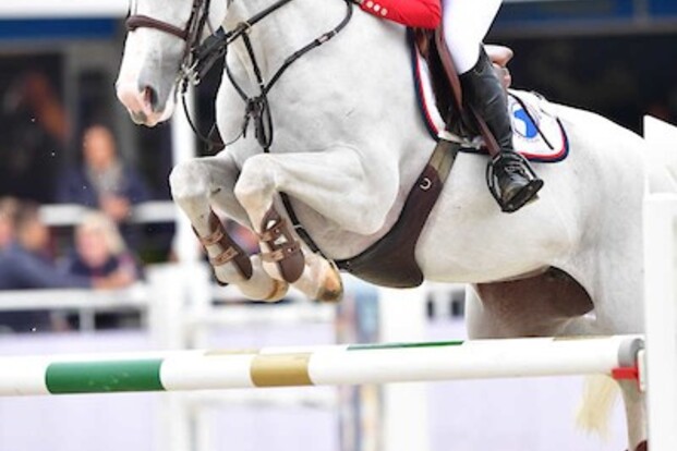 CSI1* El Jadida: Stéphanie Andries in top 5