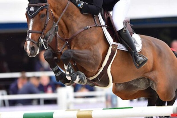 CSI5* Oslo: Patteet net buiten het podium...