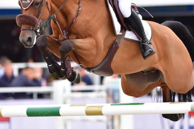 CSI2* Moors.: Openingsrubriek voor Lambrecht