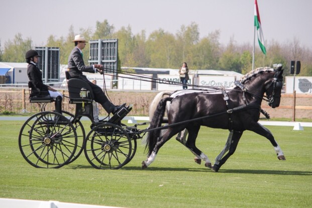 Hölle en Exell bundelen hun krachten voor het eerst in de Lipica ‘Pairs in the Picture’ clinic
