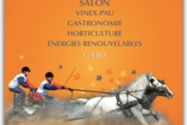 Pau, de deelnemers