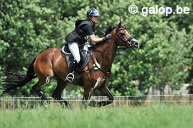 Lara De Liekerke beste Belg in Boekelo