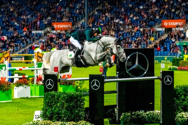 Fokmerrie Cigale veilingtopper Horsedeals! Fokmerrie Cigale veilingtopper Horsedeals!