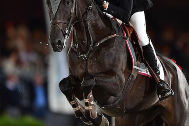Dominique Hendrickx 5de in CSI4* GP Tetouan!