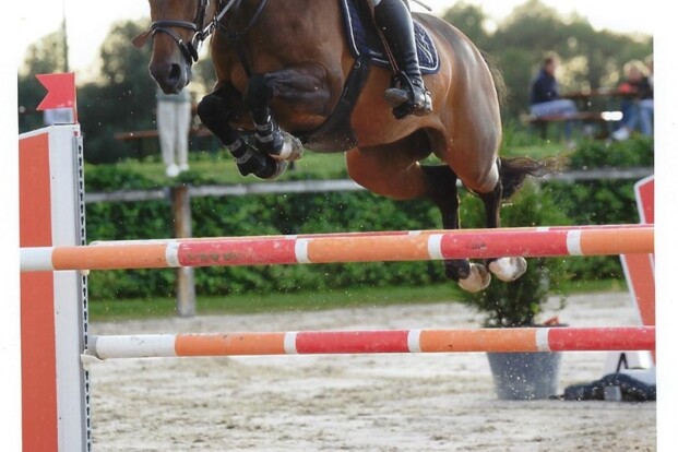 Olympke van ’t Merelsnest naar Stephex! Olympke van ’t Merelsnest naar Stephex!