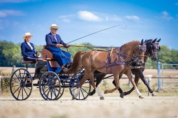 FB Jaap Dekkers - Fokkerij Equi Center Pony's