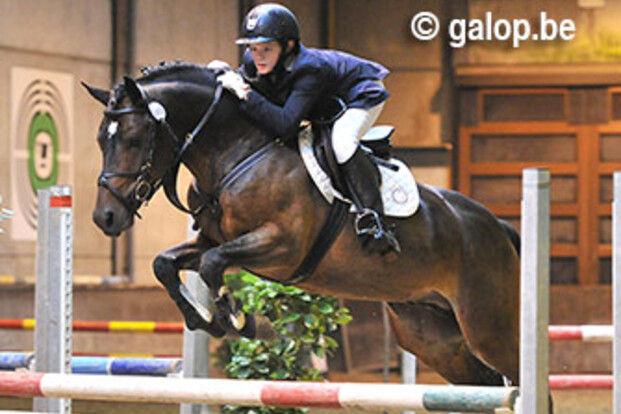 Bestgaande rijpony kent zijn kampioenen