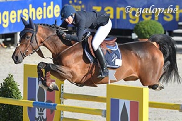 Stephex koopt zevenjarige Fleur Van Loo