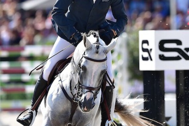 CSI5* Waregem: Hoofdrubriek voor Wathelet!