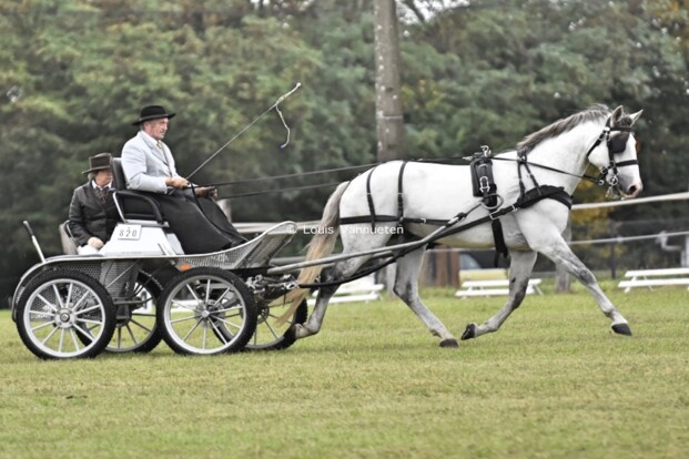 BK Flémalle: foto's dressuur