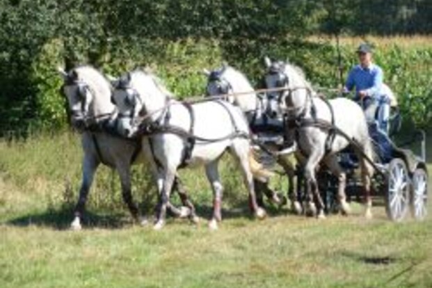 Sven Stuyck en Glenn Geerts naar Paard & Koets