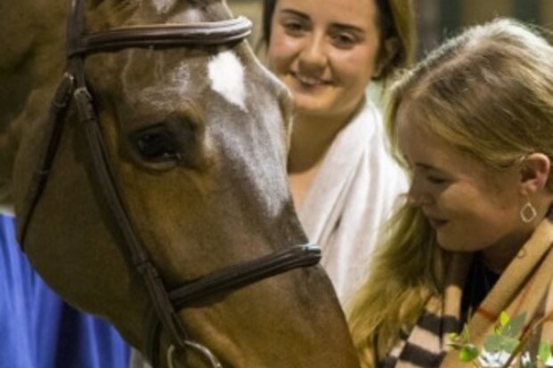 Sale of the Rising Stars staat voor de deur
