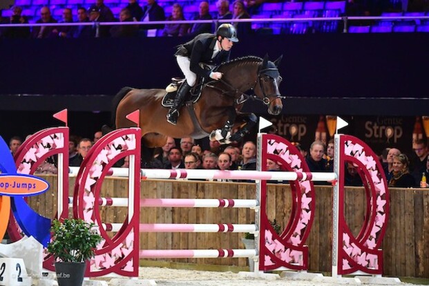 De vernieuwde Belgian Stallion Competition