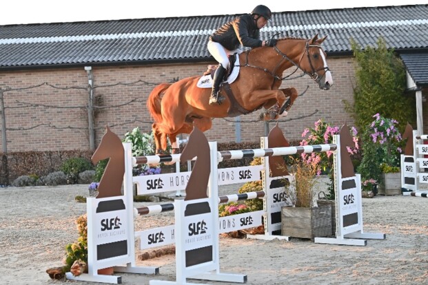 Tweede editie SLF Horse Auctions
