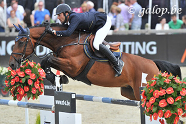 Sven Van Dijck en Vici R winnen laatste Gold League van seizoen