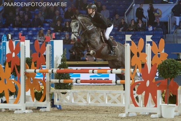 De Winter en Clee winnen hengstenproeven De Winter en Clee winnen hengstenproeven