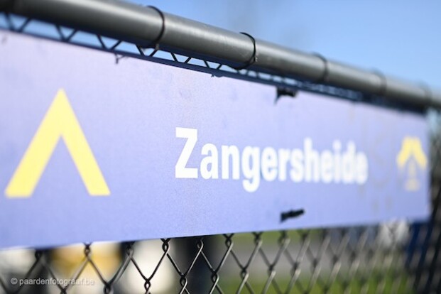 Nieuwe datum Zangersheide hengstenkeuring