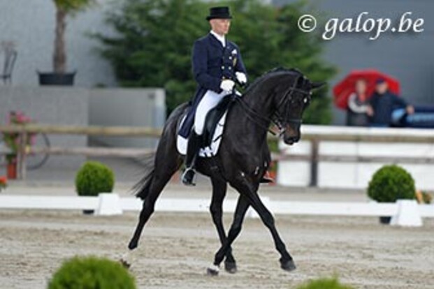 Geen wijziging in BK dressuur na Special