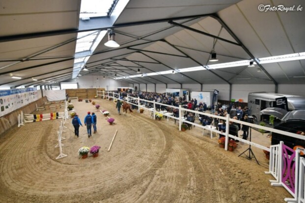 Dit zijn de winnaars vrijspringen in Wambeek