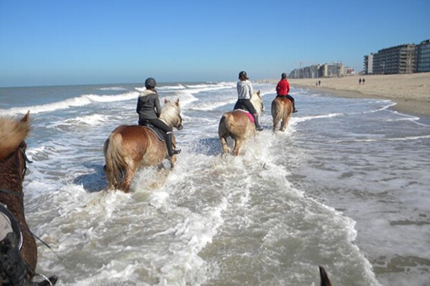 Paardenweekend Oostduinkerke 12-14 september Paardenweekend Oostduinkerke 12-14 september