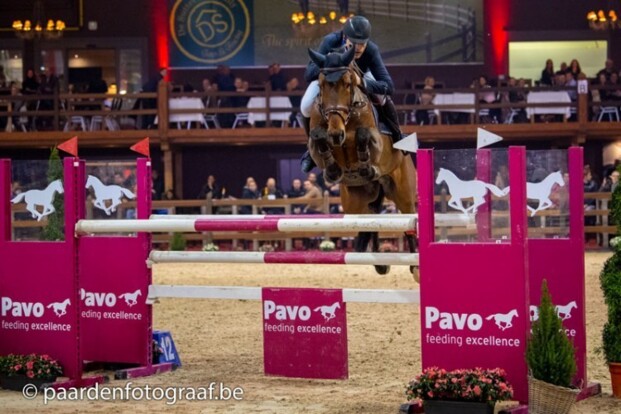 Pavo Hengstencompetitie eindigt na manche 1 Pavo Hengstencompetitie eindigt na manche 1
