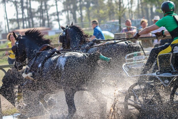 Gezonde basis voor WK H2 Kronenberg