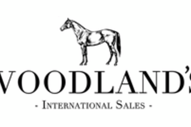 Woodland’s International Sales Woodland’s International Sales