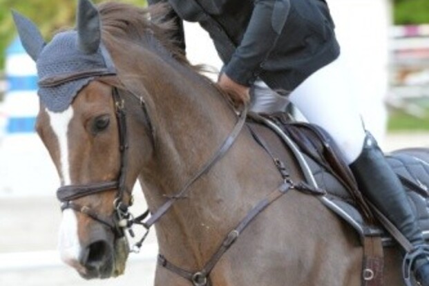 Ellen D'Havé allereerste winnares op Stephex Ellen D'Havé allereerste winnares op Stephex