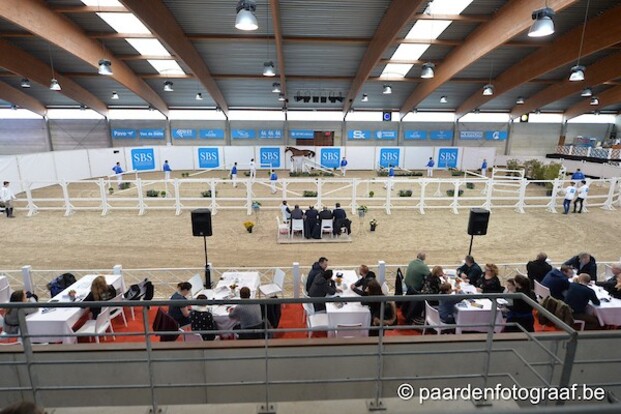 SBS annuleert jaarlijkse hengstenkeuring