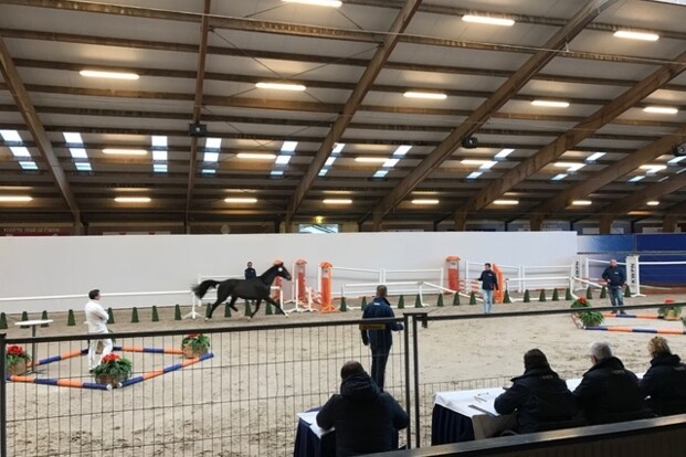 Eerste Bezichtiging KWPN-keuring afgerond