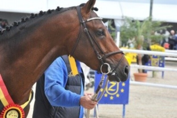 Colorado Z wint Medaille van de Koning Colorado Z wint Medaille van de Koning