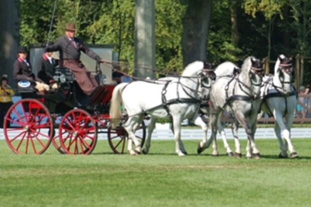 WK Riesenbeck: dressuur Brasseur en Stuyck