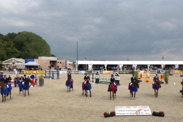 Negen vierjarige paarden Belgisch kampioen