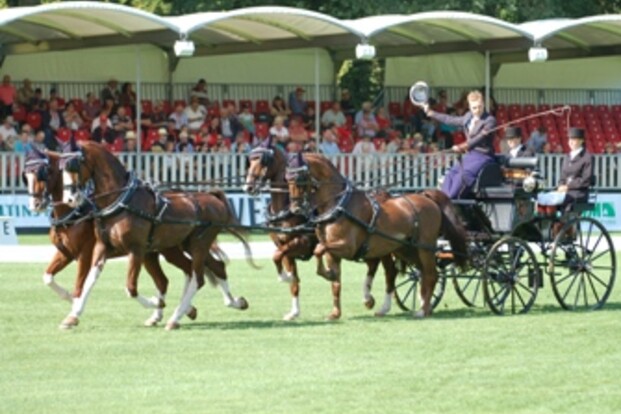 WK Riesenbeck 2012: Schrijvers rijdt proef van zijn leven