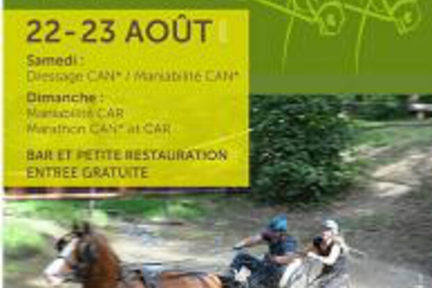 Arville, startlijst dressuur en vaardigheid