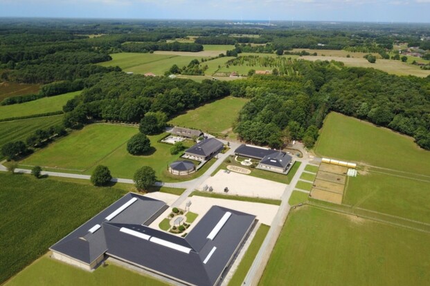 Equitom & Bencis starten Equine Care group