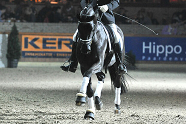 Sir Donovan presteert sterk in Verden
