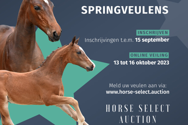 Horse Select Auction opent de inschrijvingen!