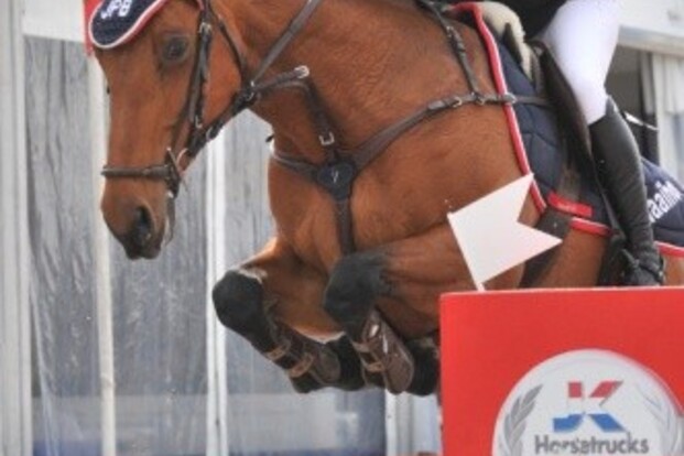Dag 1 CSI2* in Beervelde zit er op, zodra 3*