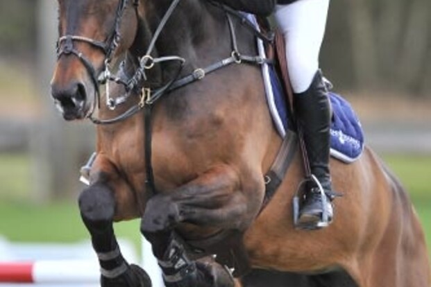 Twee Belgen in toptien GP Saint-Lo Twee Belgen in toptien GP Saint-Lo