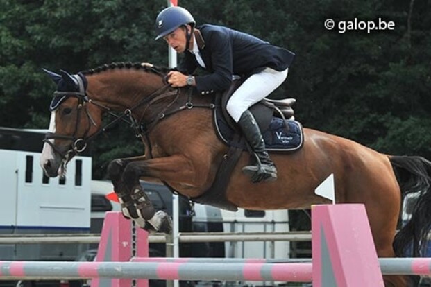Vermeir wint ook finale jonge paarden Vermeir wint ook finale jonge paarden