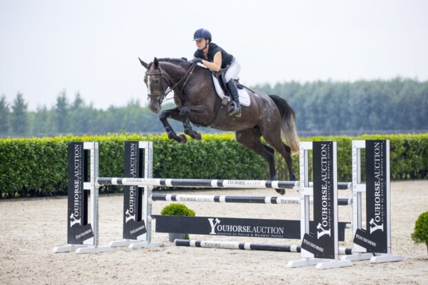 Tweemaal €60.000 op 15e Youhorse.auction!