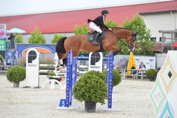 Porthos Maestro WH Z is verkocht!
