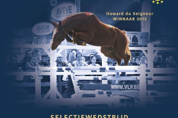 Selecteer je Z paard voor de veiling