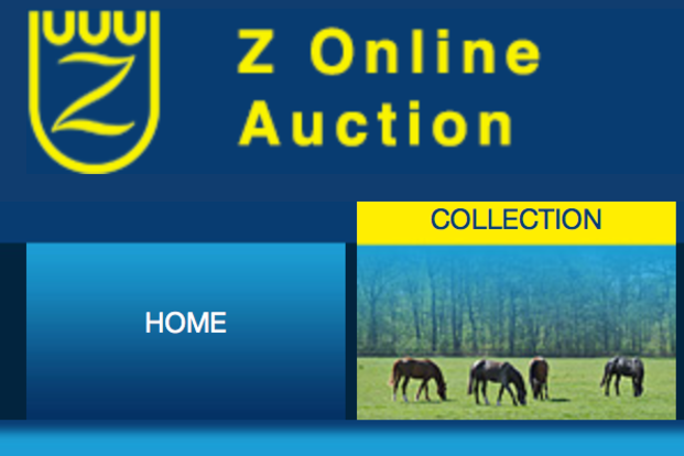Z Online Auction: 25.500 voor Collektor DK Z