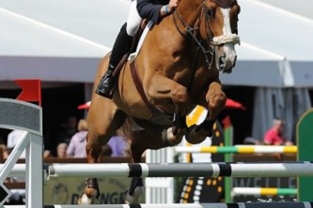Hickstead: Verlooy en Wathelet meteen voorin