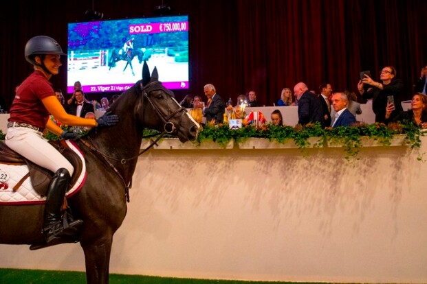 Spektakel op The Dutch Sport Horse Sales!