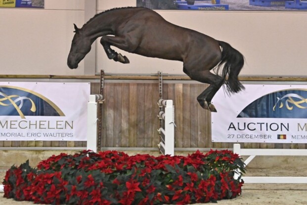 Auction Mechelen uitzonderlijk succesvol
