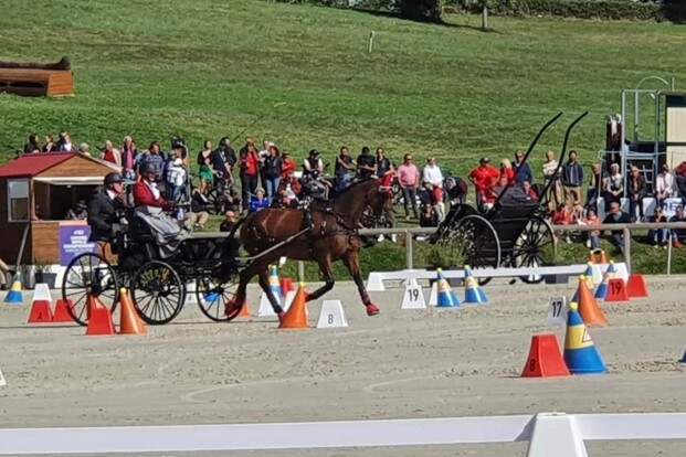 Laure Philippot met Galen V, Hanoveraan - 14 jaar - Foto: fb-pagina Laure Philippot
